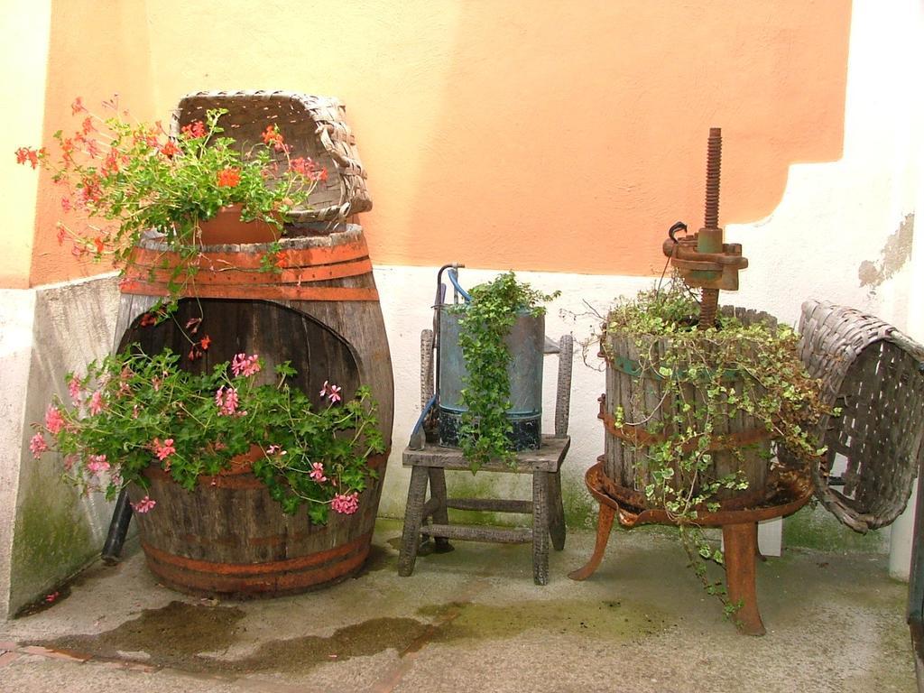 Agriturismo La Ginestra Villa Vico Equense Szoba fotó