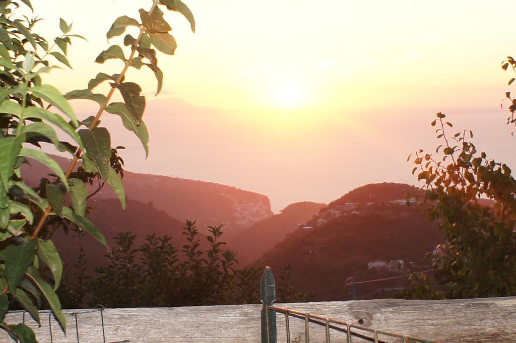 Agriturismo La Ginestra Villa Vico Equense Kültér fotó