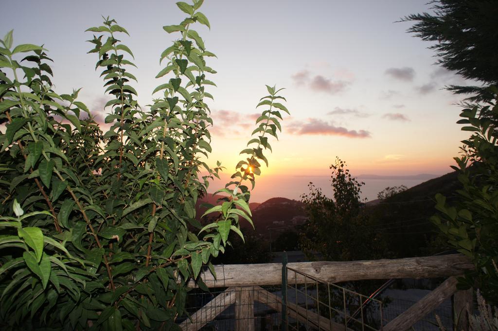 Agriturismo La Ginestra Villa Vico Equense Kültér fotó