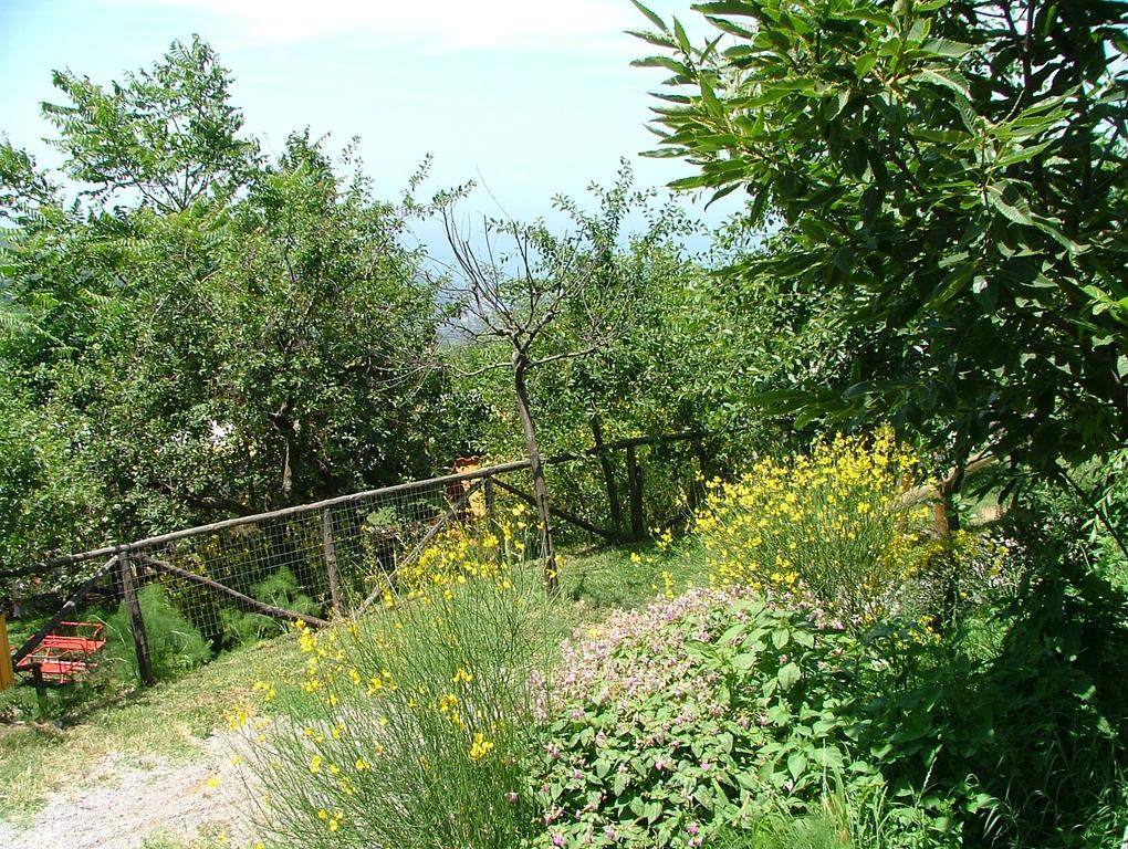 Agriturismo La Ginestra Villa Vico Equense Kültér fotó